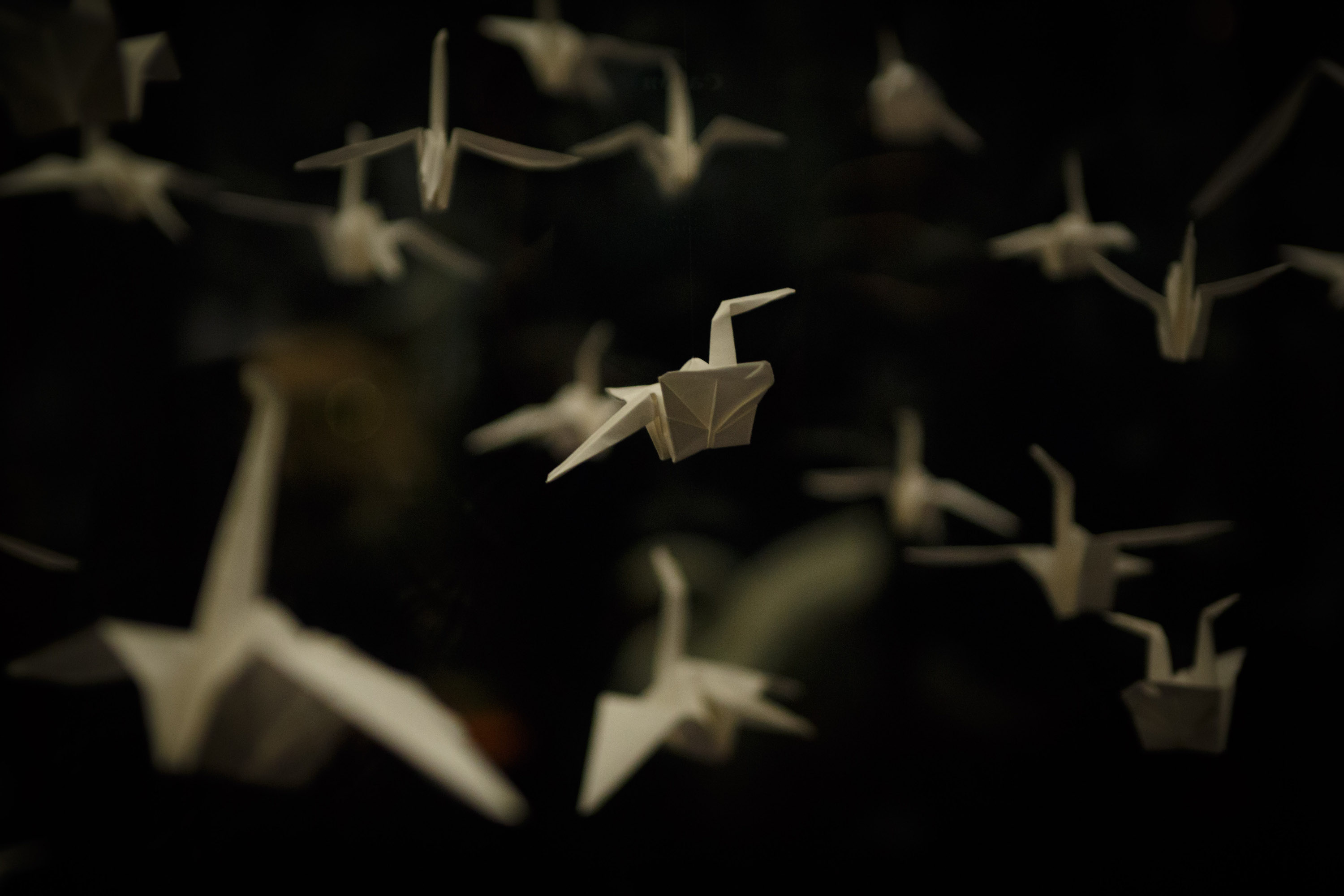 An image showing white Origami Birds suspended against a dark background