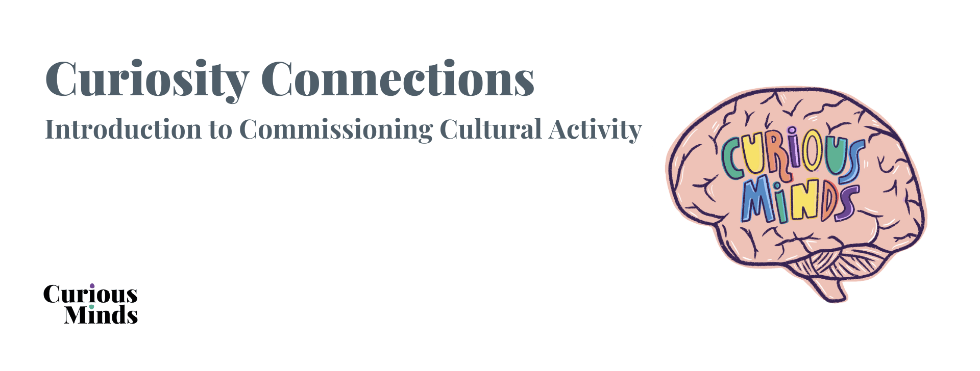 Web banner for Curiosity Connections - Commissioning Cultural Activity in your School